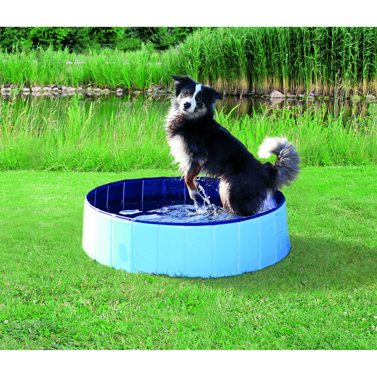 Trixie  Dog Pool hellblau/blau ø160×30 cm