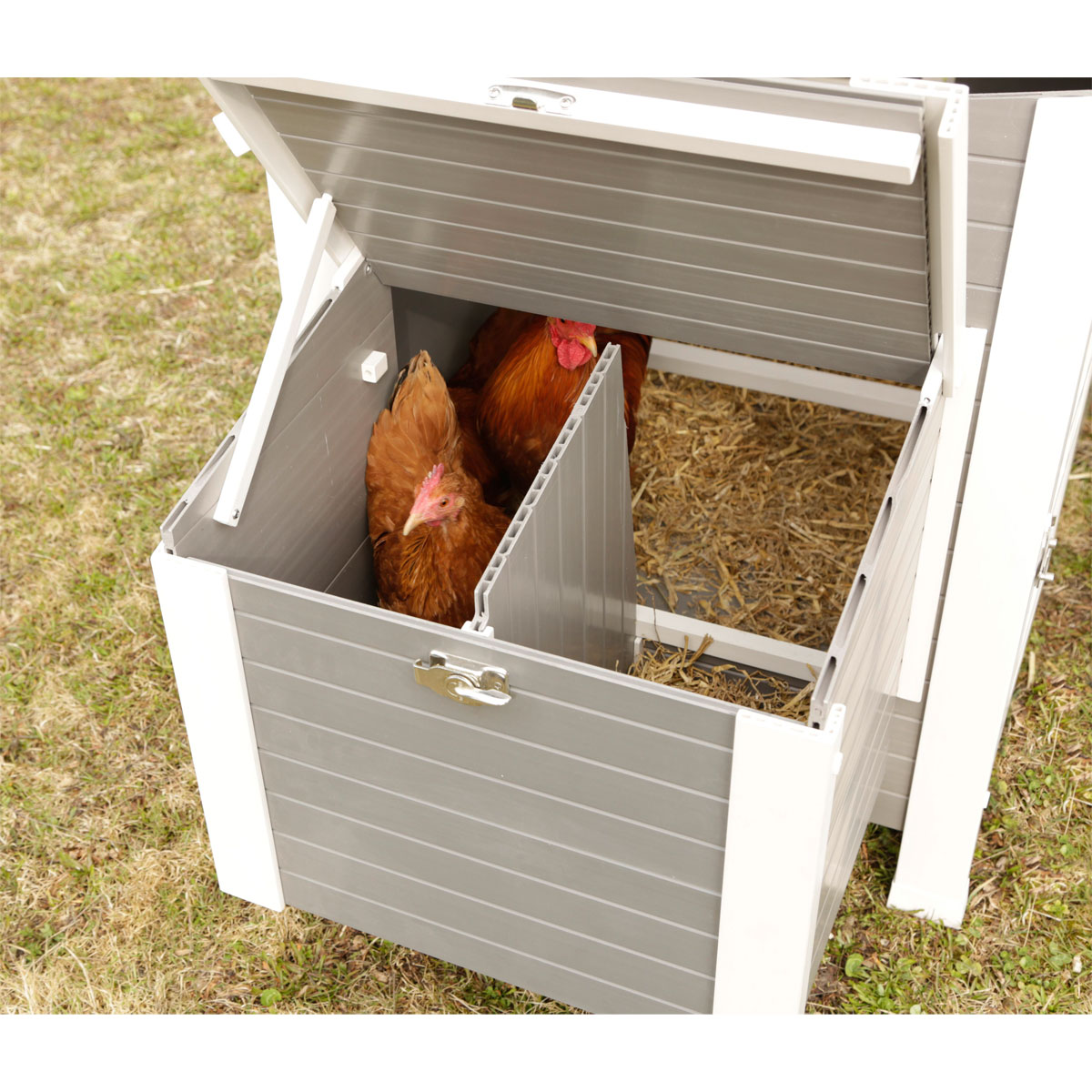 Kunststoffstall Barney 137 x 73 x 83 cm Bild 5