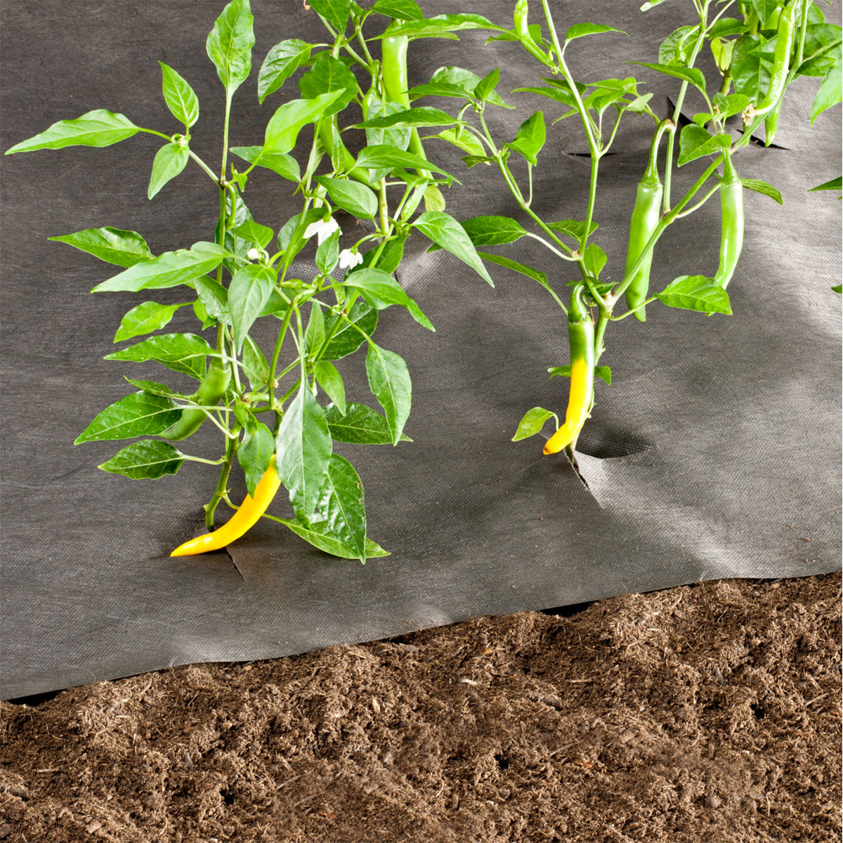 Windhager  Unkrautvlies 10x1 m 50 g/m² Bild 3