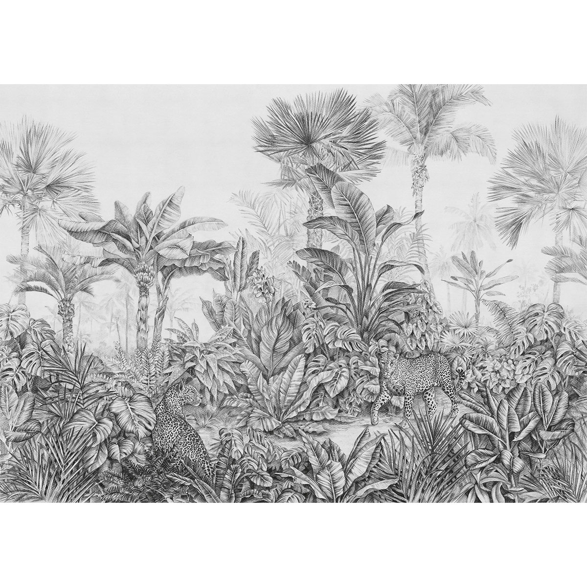 Komar  Vlies Fototapete Léopards 350x250 cm Bild 2