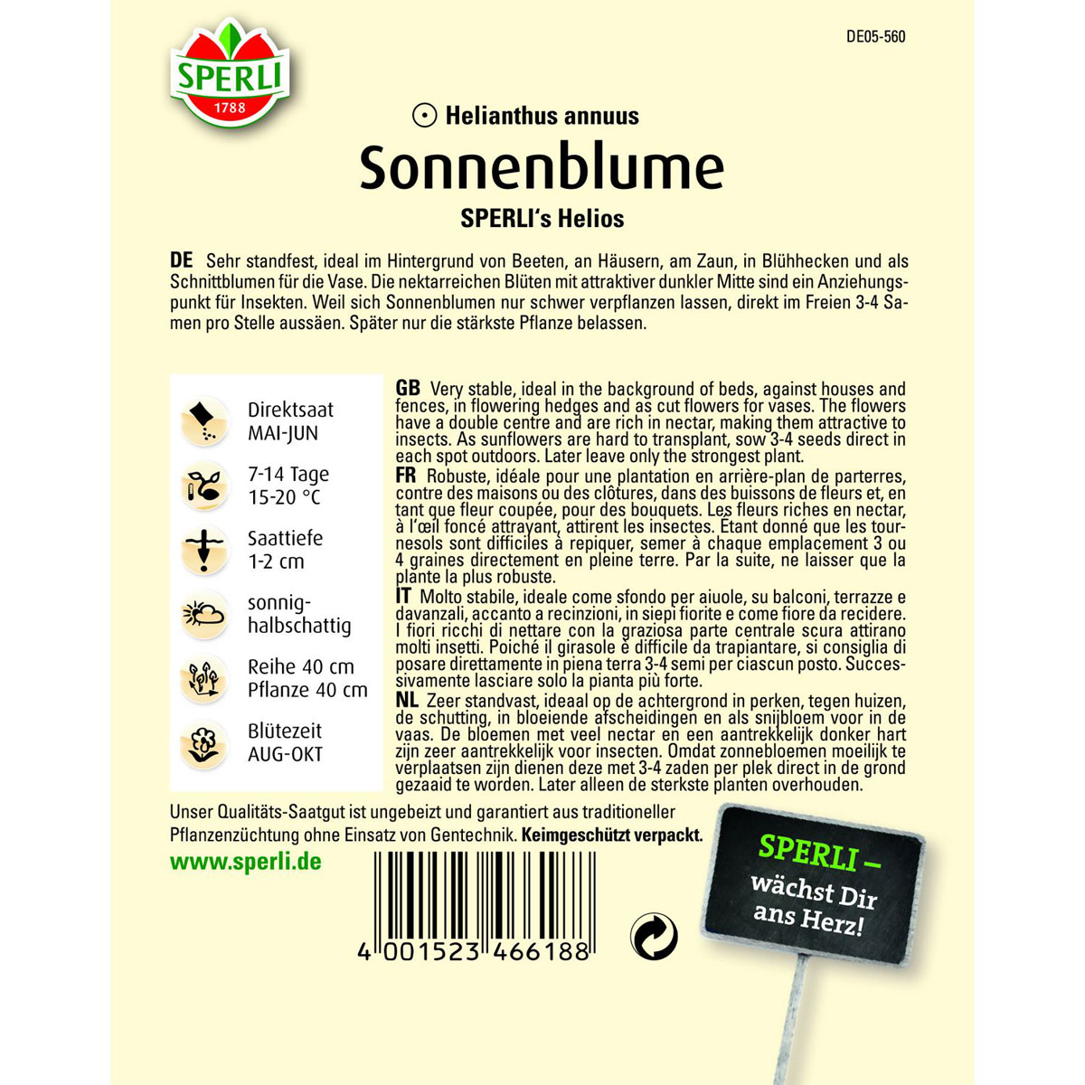 Sonnenblume SPERLIS´s Helios 150 cm Bild 2