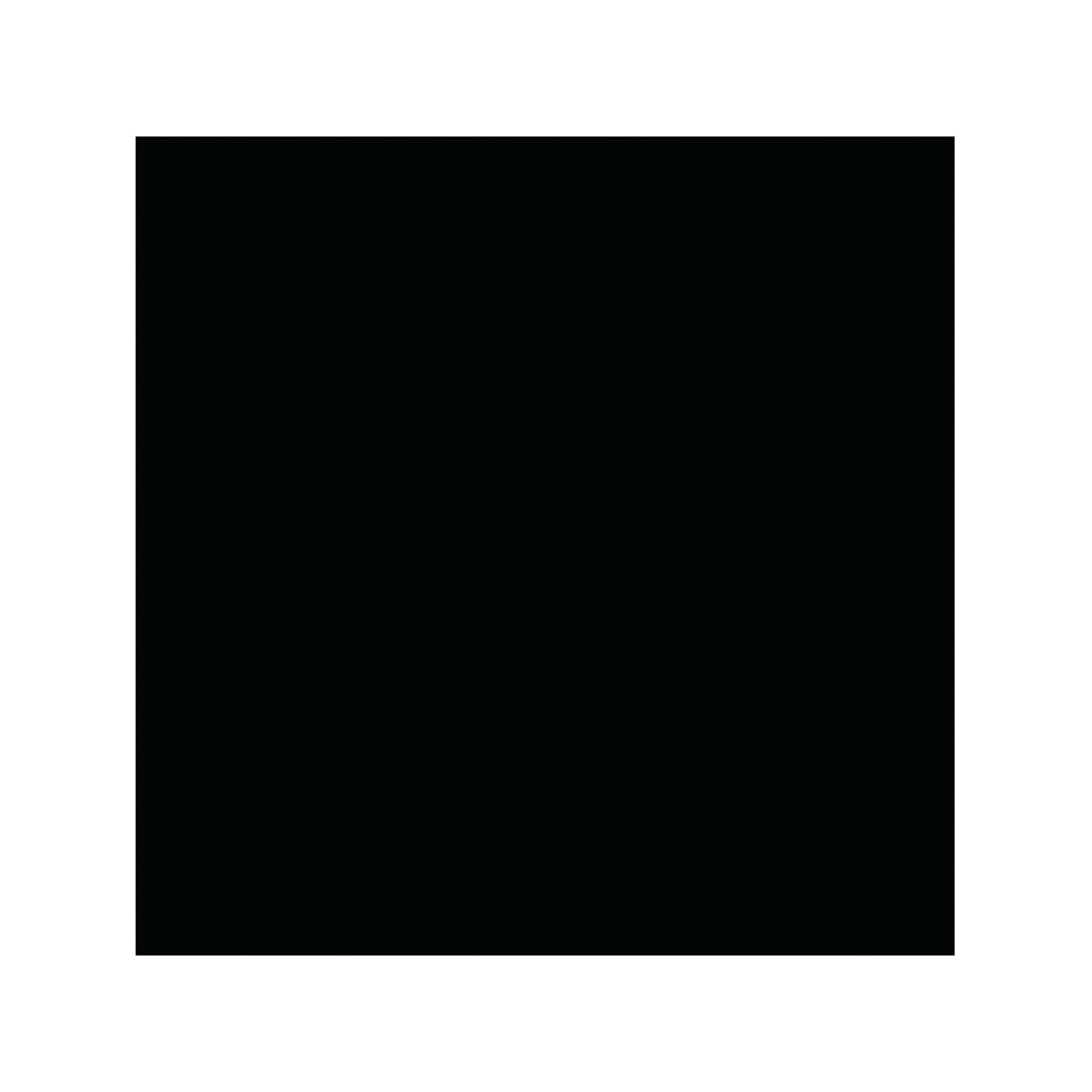 Vincent 2in1 Buntlack Tiefschwarz glänzend 750 ml Bild 2