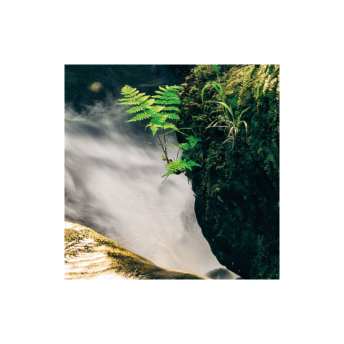 Komar  Vlies Fototapete Divine 200x250 cm Bild 6