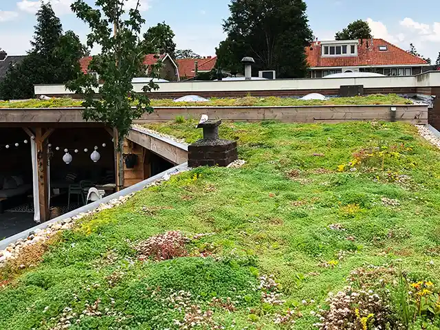 Ein begrüntes Dach mit Pflanzen, umgeben von Häusern und Bäumen, unter blauem Himmel.