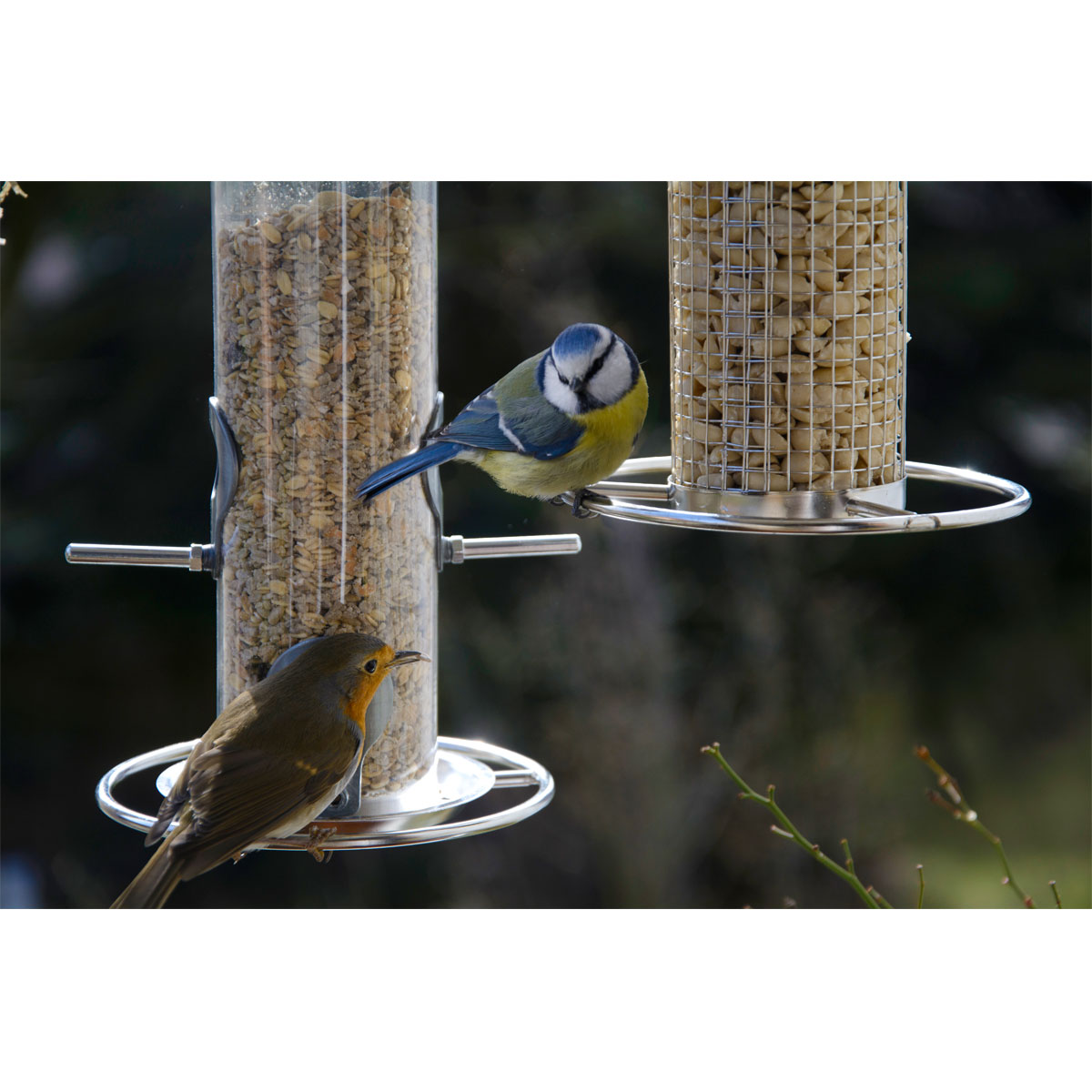 Futterspender mit Gitterröhre mit Anflugringen 14 x 14 x 26 cm Metall Silber Bild 9