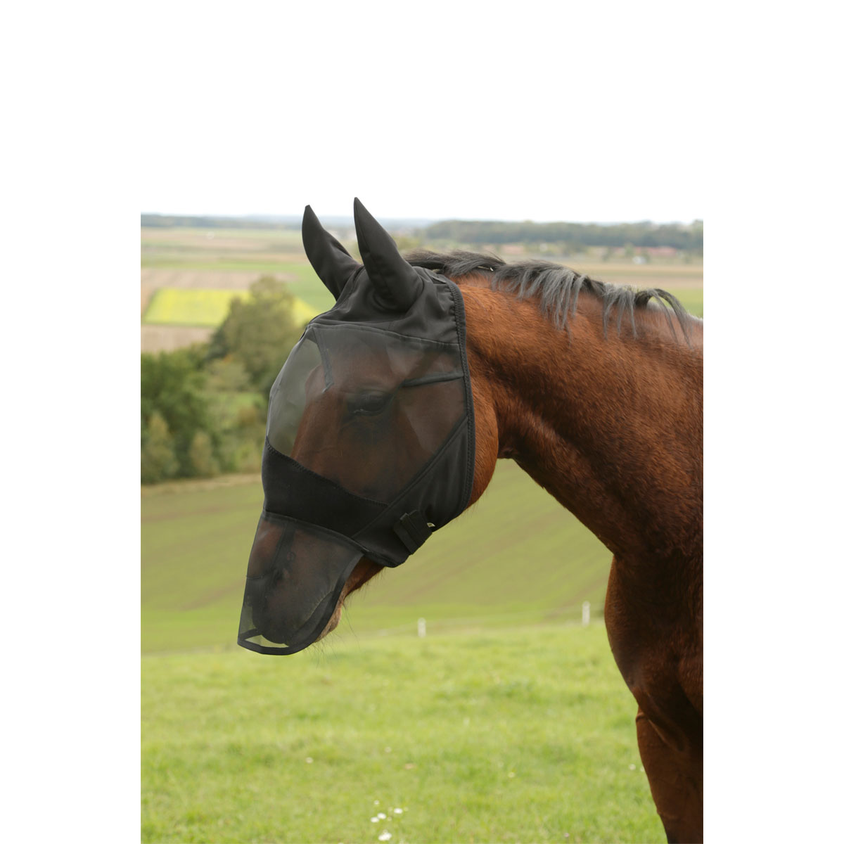 Fliegenschutzmaske Pony schwarz mit Fleecepolsterung