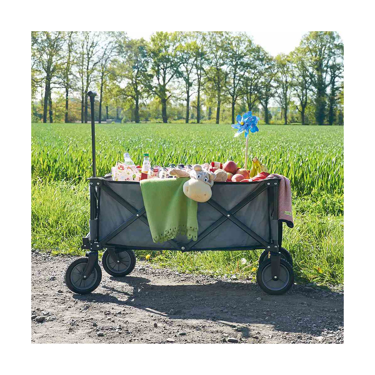 PINOLINO Bollerwagen Porti 100 x 50 x 61 cm anthrazit Bild 5