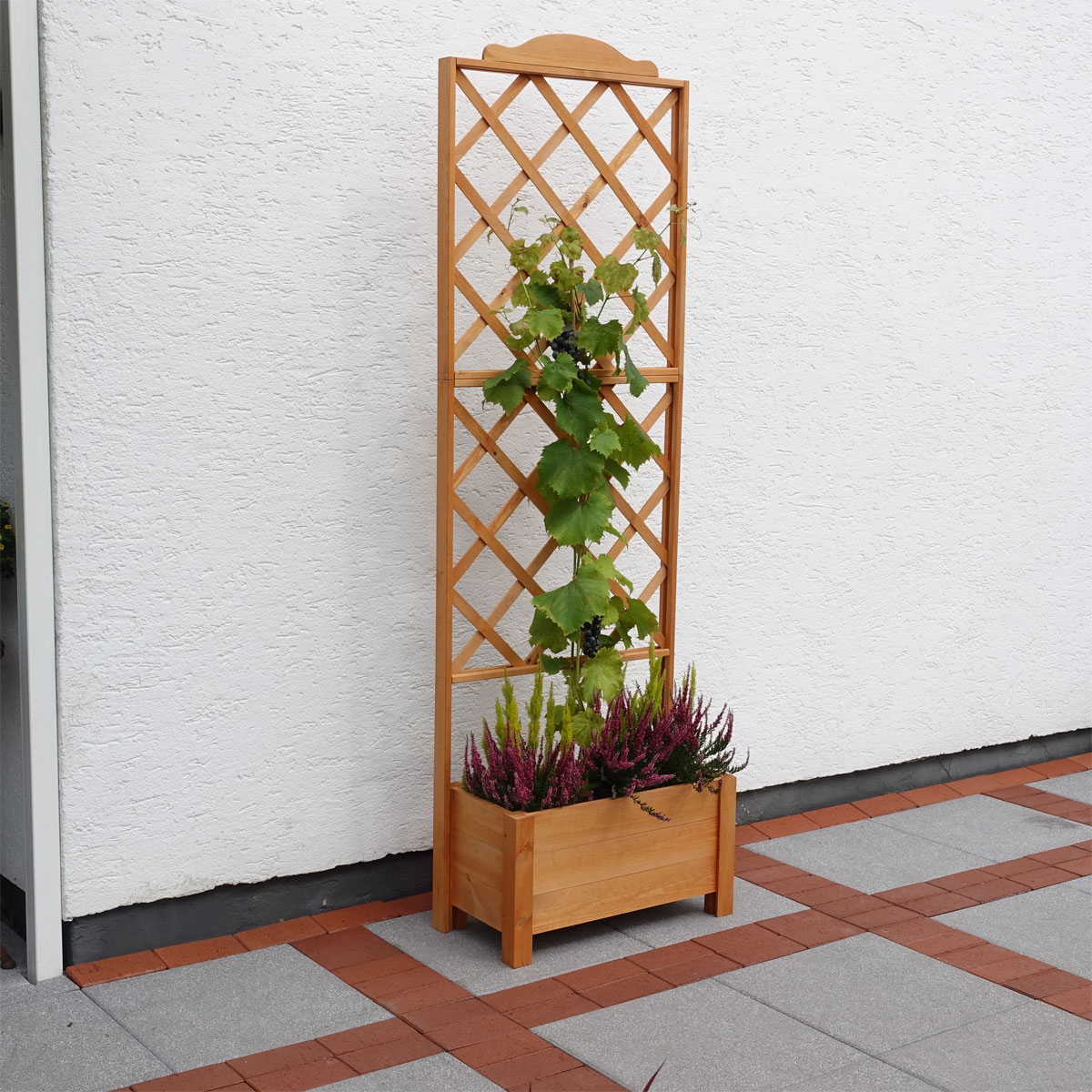 Promadino Rankkasten Botanica 69 x 210 cm Bild 4