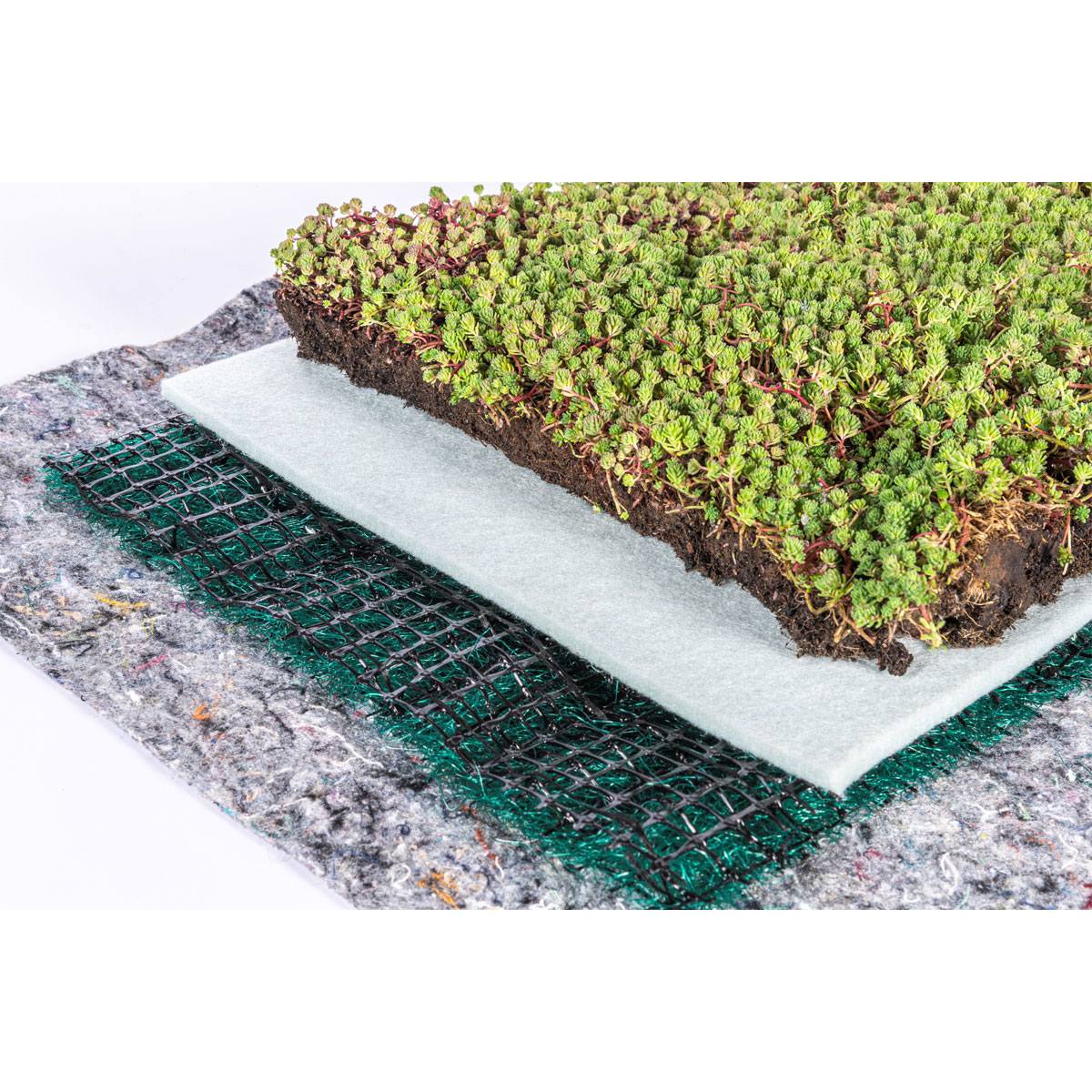 AboutGreen Dachbegrünung Roll und Go Dachneigung 1-5 Bild 2