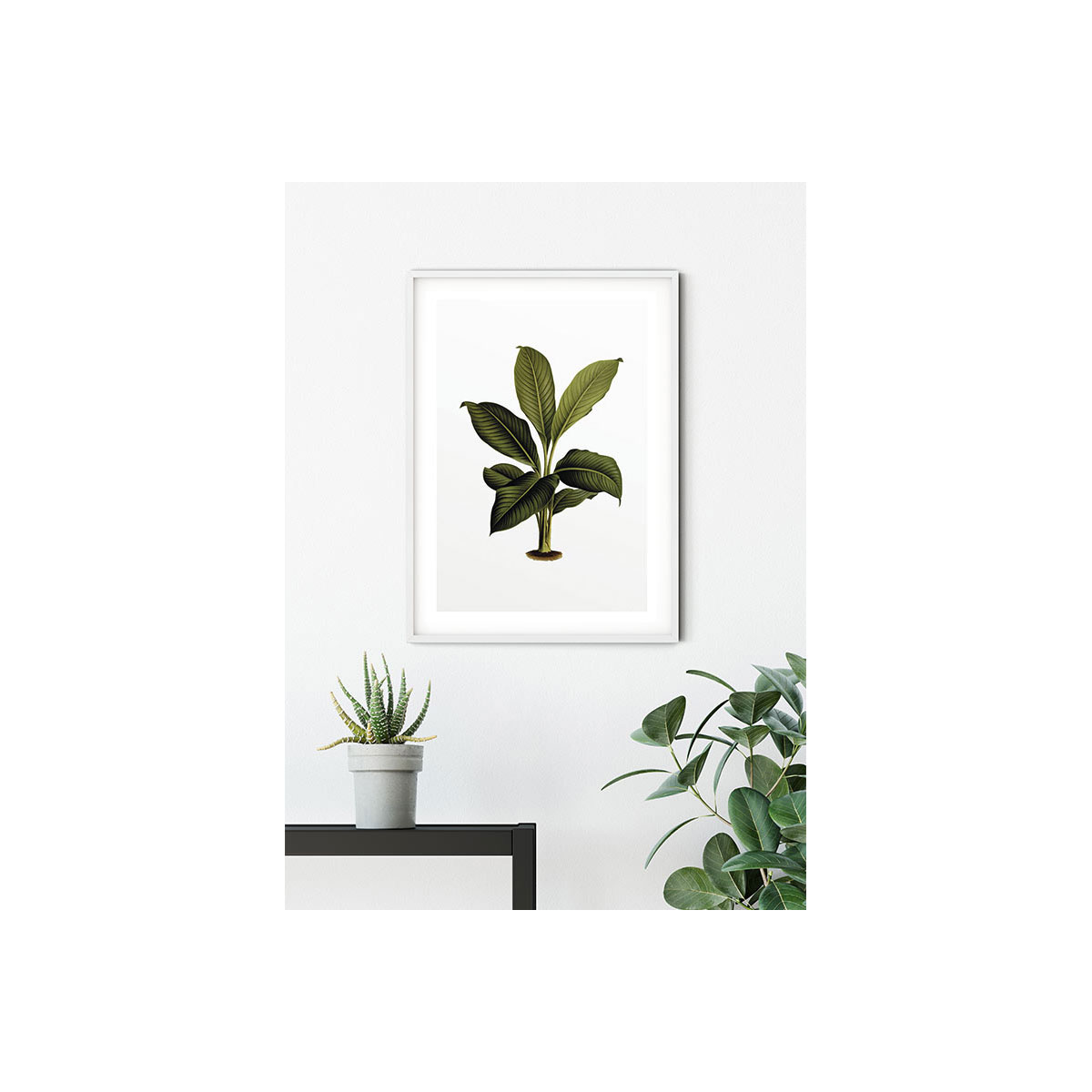 Komar  Wandbild Elastica Leaf 40x50 cm Bild 5