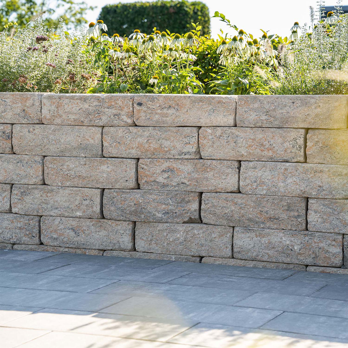 Diephaus  Mauerstein Cup-Mini Muschelk. 50 x 16,5 x 15 cm Bild 2