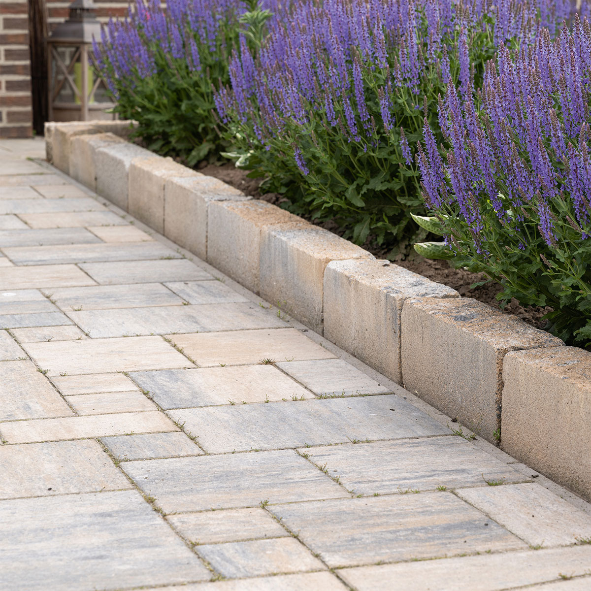 Diephaus  Randstein Cup Muschelkalk 50 x 25 x 7 cm Bild 3