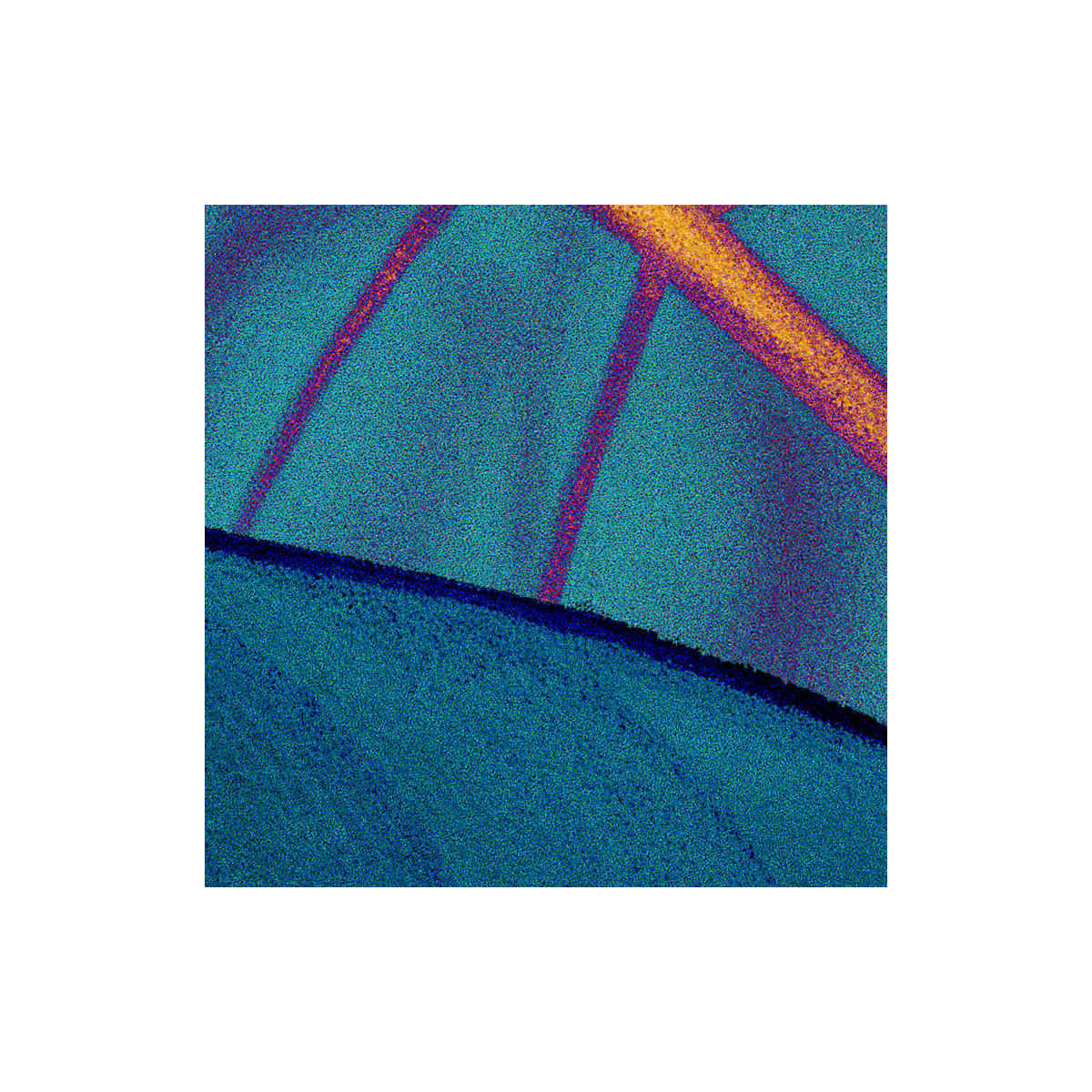 Komar  Vlies Fototapete Foliage 200x250 cm Bild 9