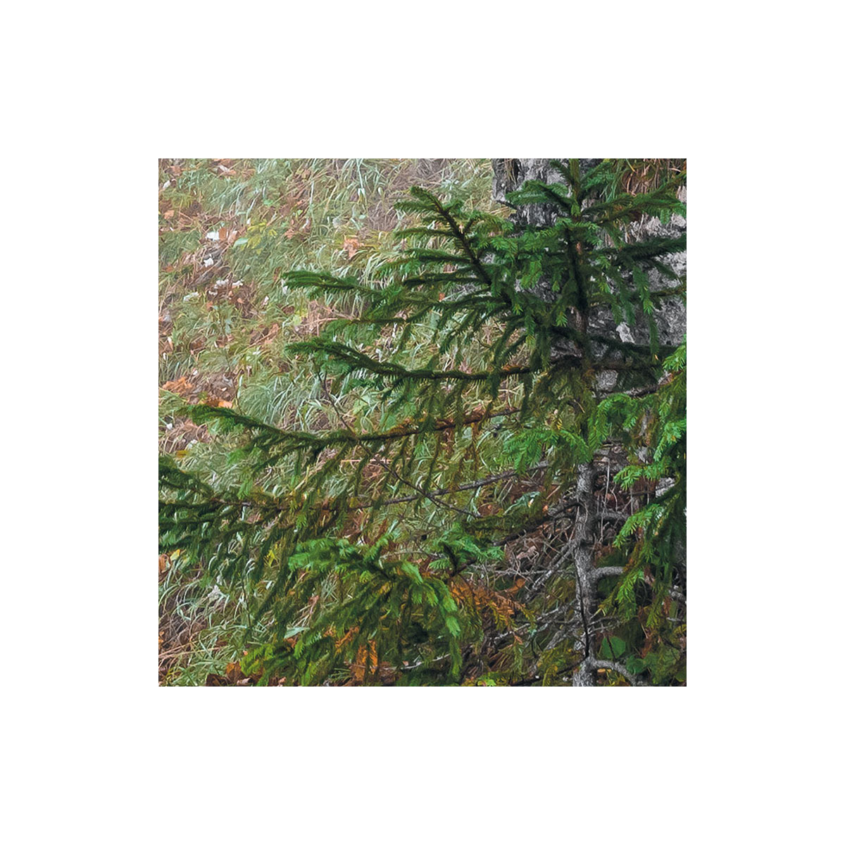 Komar  Vlies Fototapete Euphoria 300x200 cm Bild 8