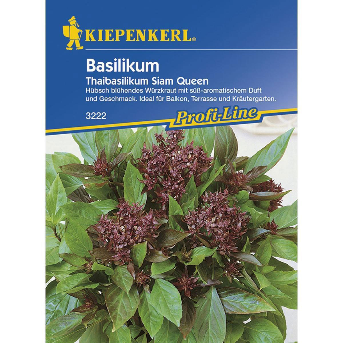 Kiepenkerl Basilikum Siam Queen Profi-Line
