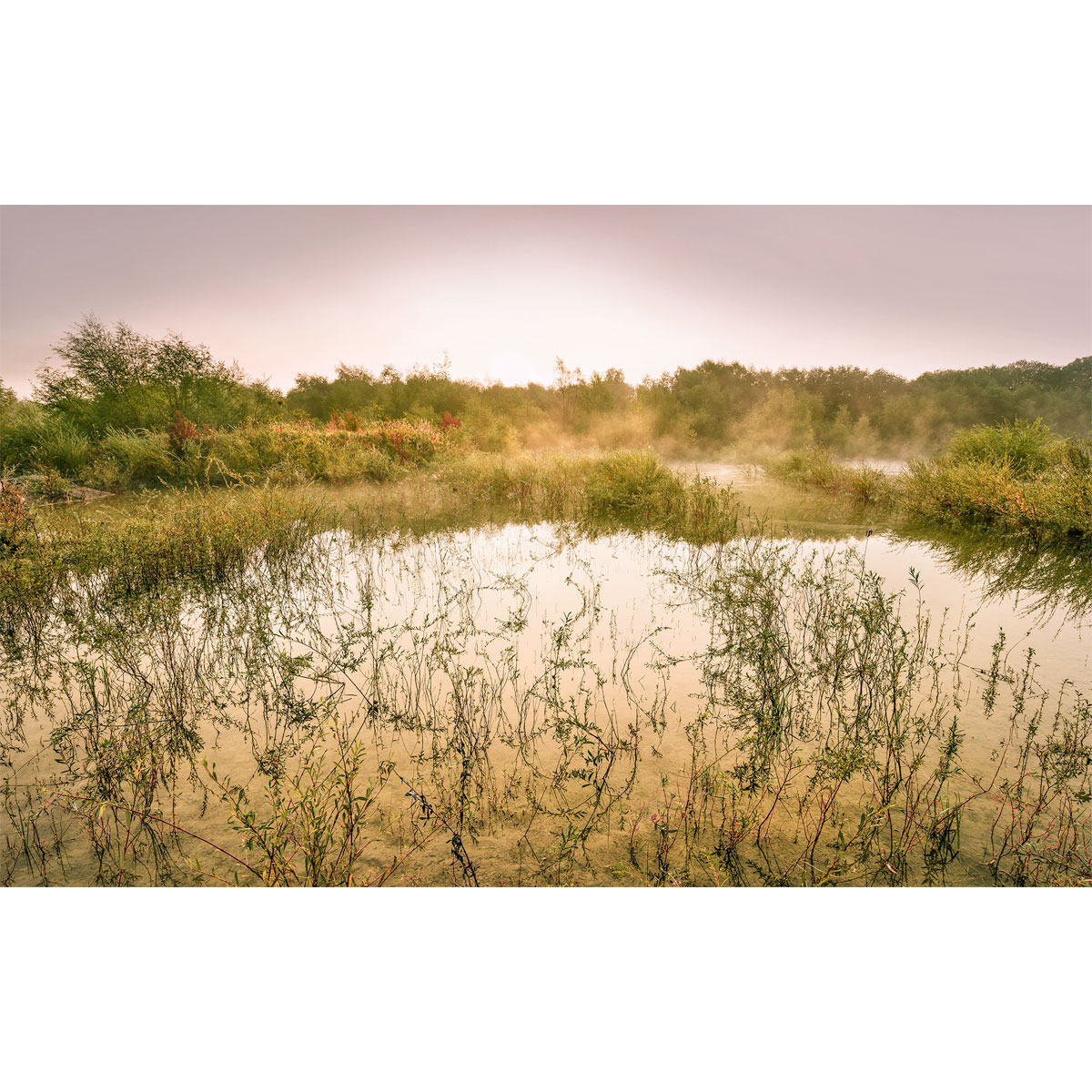 Komar  Vlies Fototapete Morning View II 400x250 cm Bild 2