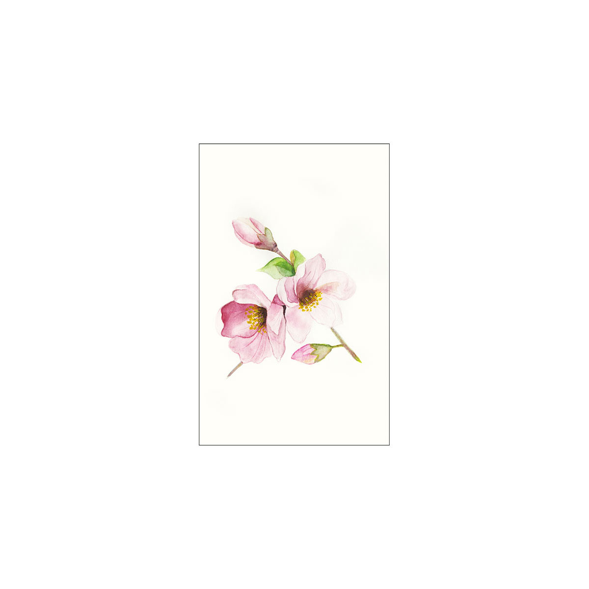 Komar  Wandbild Magnolia Breathe 40x50 cm Bild 2