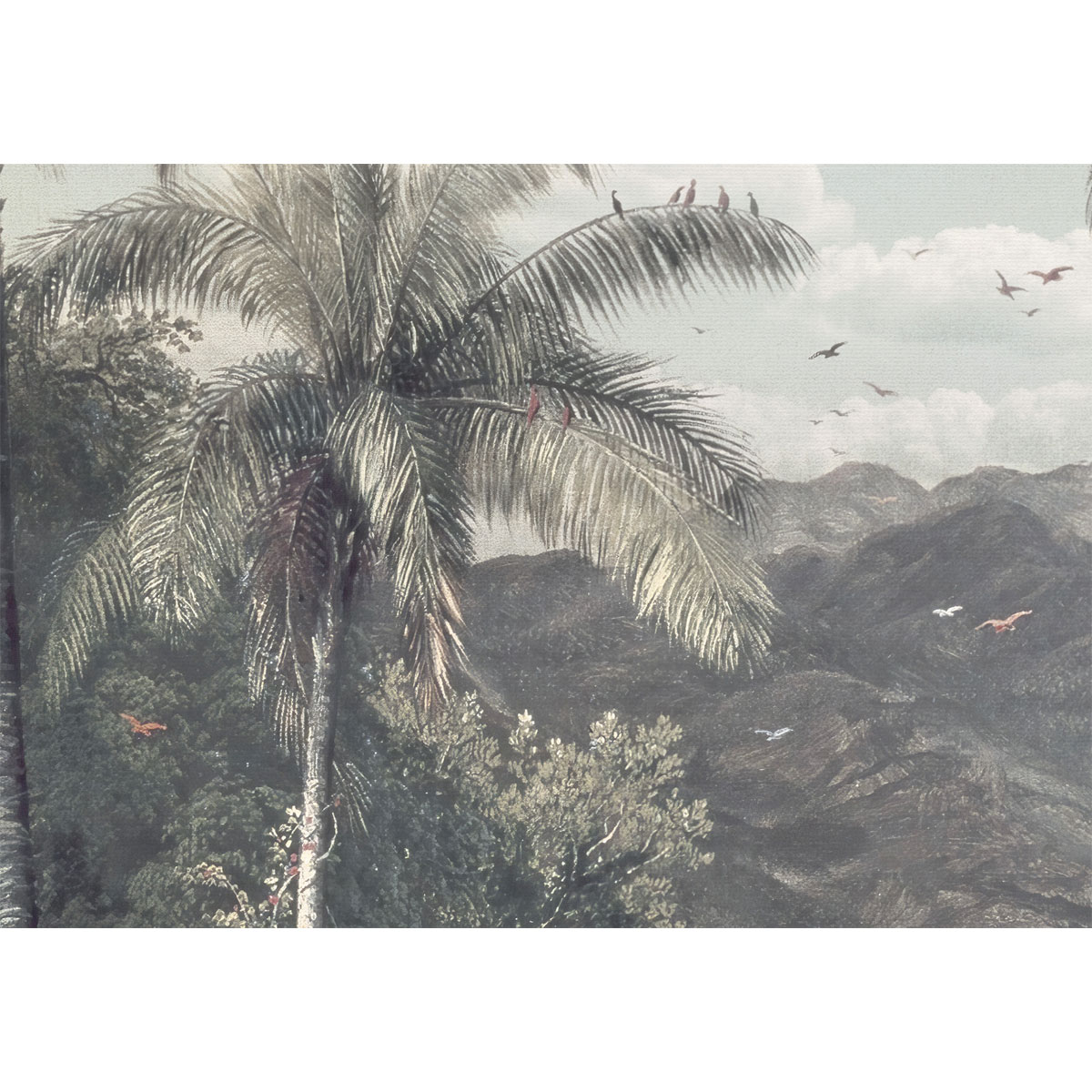 Komar  Vlies Fototapete The Exotic Land 200x280 cm Bild 4