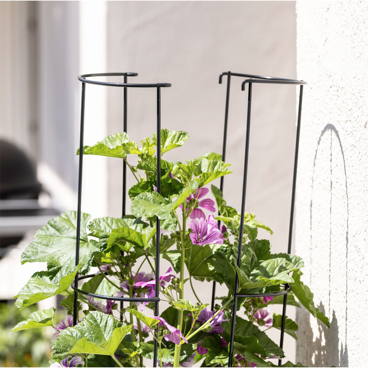 Windhager  Ranksäule 2-teilig 125 cm Bild 2