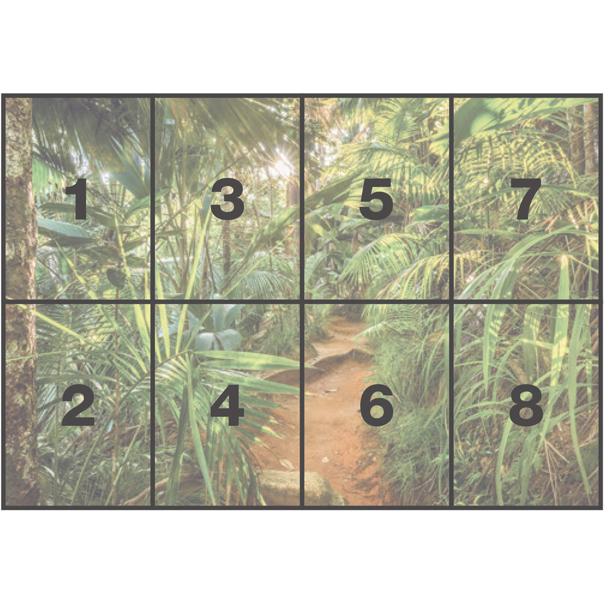Komar  Papier Fototapete Jungle Trail 368x254 cm Bild 3