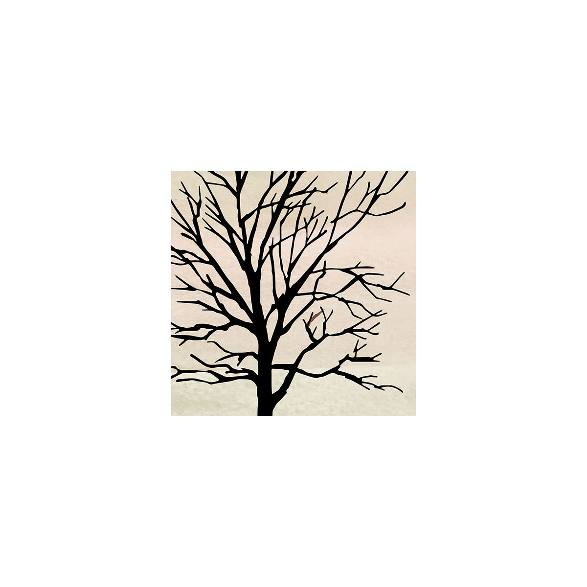 Komar  Vlies Fototapete Backcountry 300x280 cm Bild 5