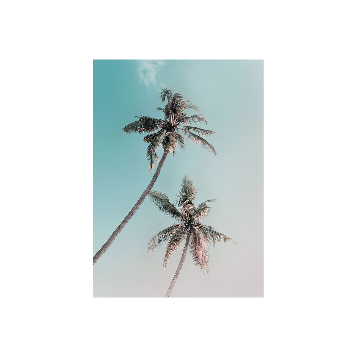 Komar  Wandbild Miami Palms 30x40 cm Bild 2