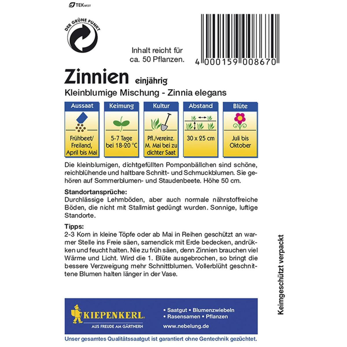 Kiepenkerl Zinnien kleinblumige Mischung Bild 2