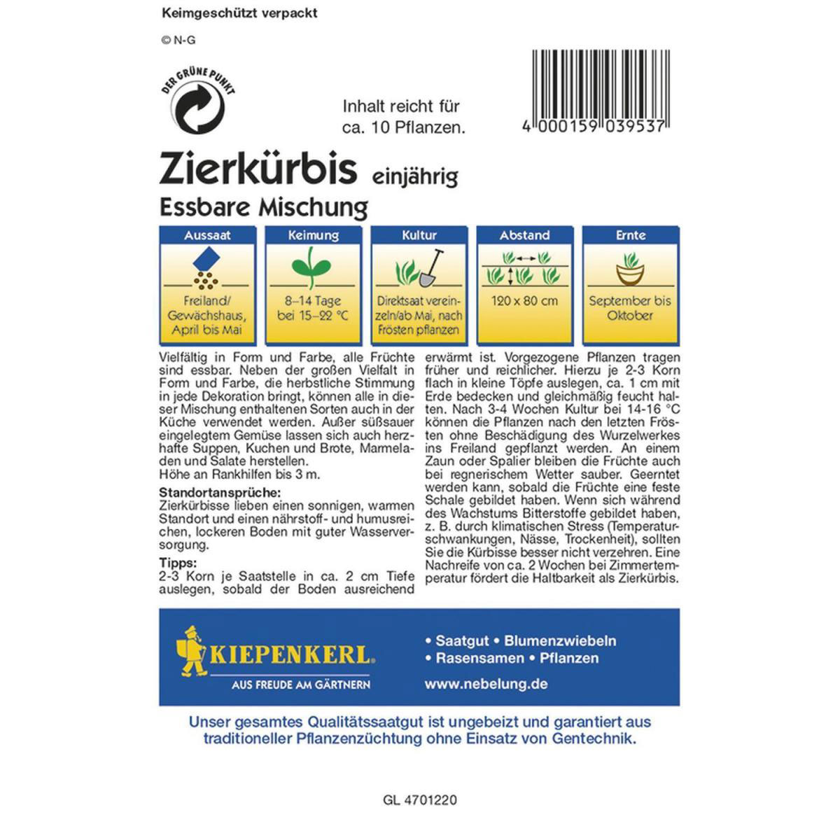 Kiepenkerl Zierkürbis Eßbare Mischung Profi-Line Bild 2