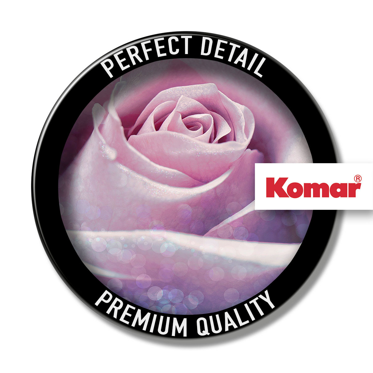 Komar  Vlies Fototapete Delicate Rose 200x260 cm Bild 3