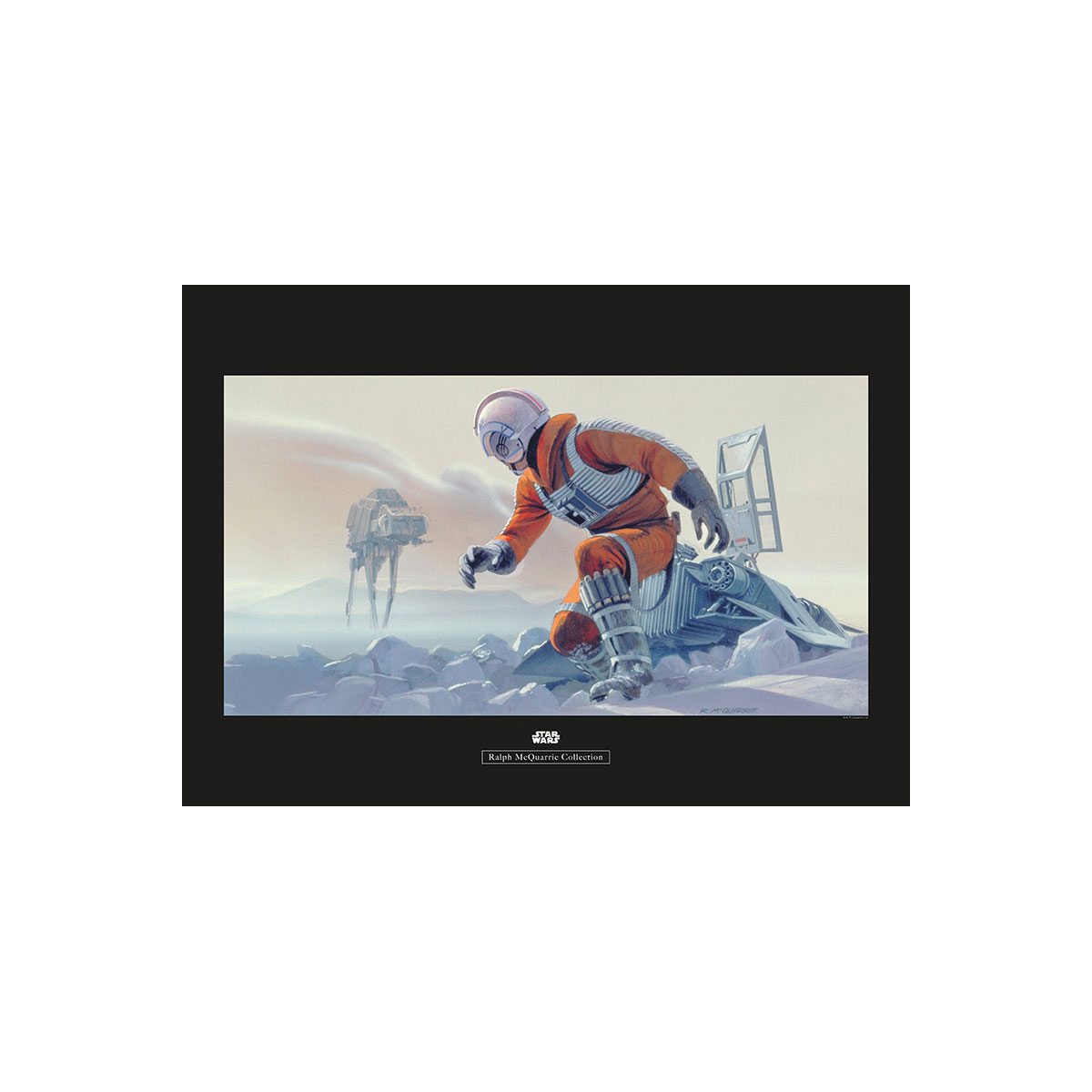 Komar  Wandbild Star Wars Classic Hoth Battle Pilot 40x30 cm Bild 2