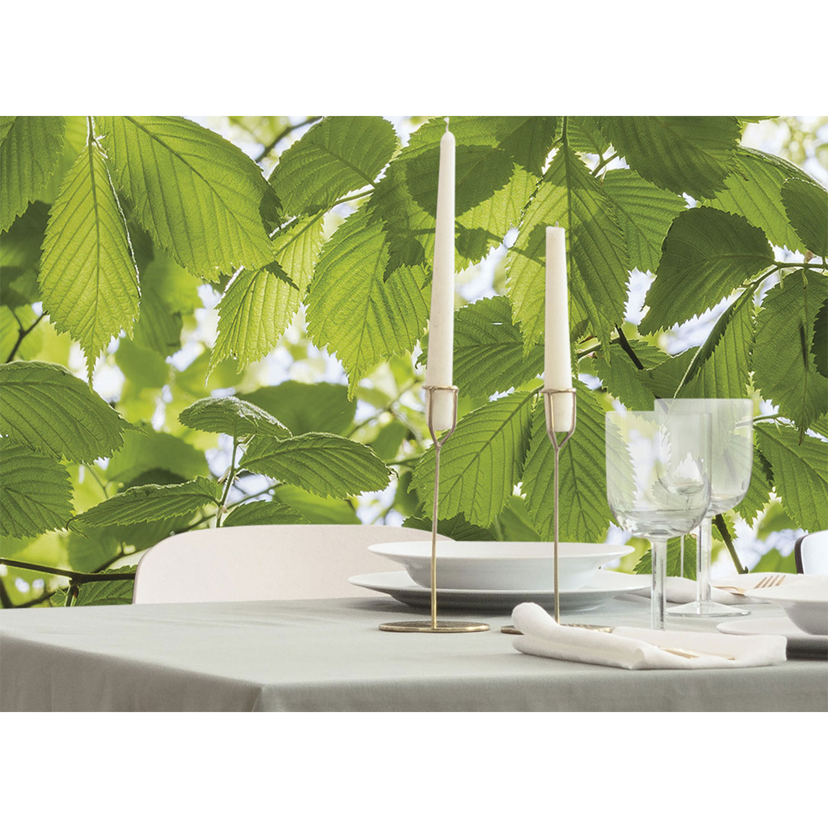 Komar  Vlies Fototapete Im Frühlingswald 450x280 cm Bild 10