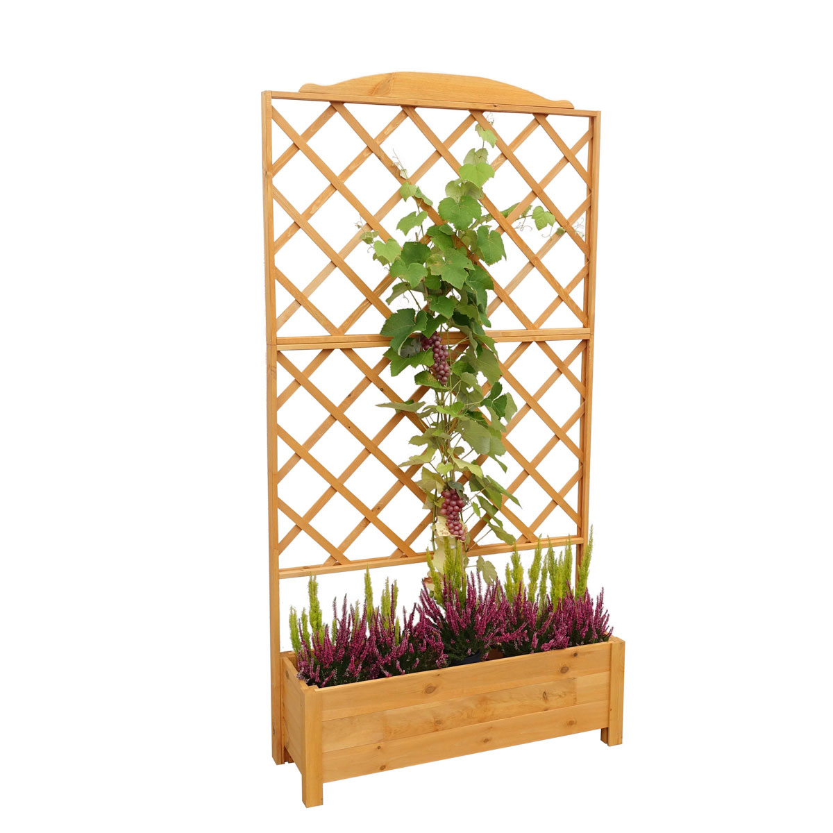 Promadino Rankkasten Botanica 110 x 210 cm Bild 2