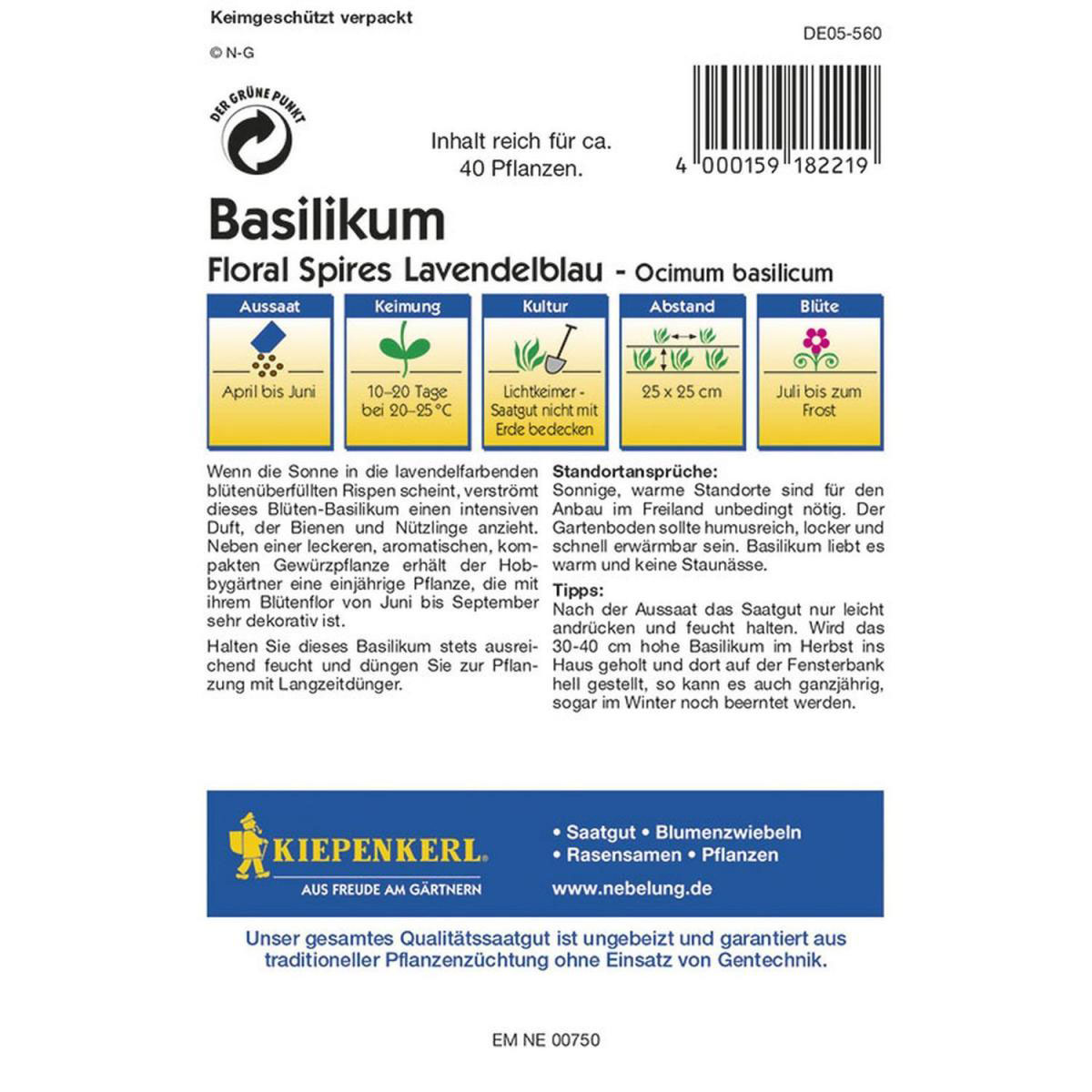 Kiepenkerl Basilikum Floral Spires Lavendelblau Bild 2