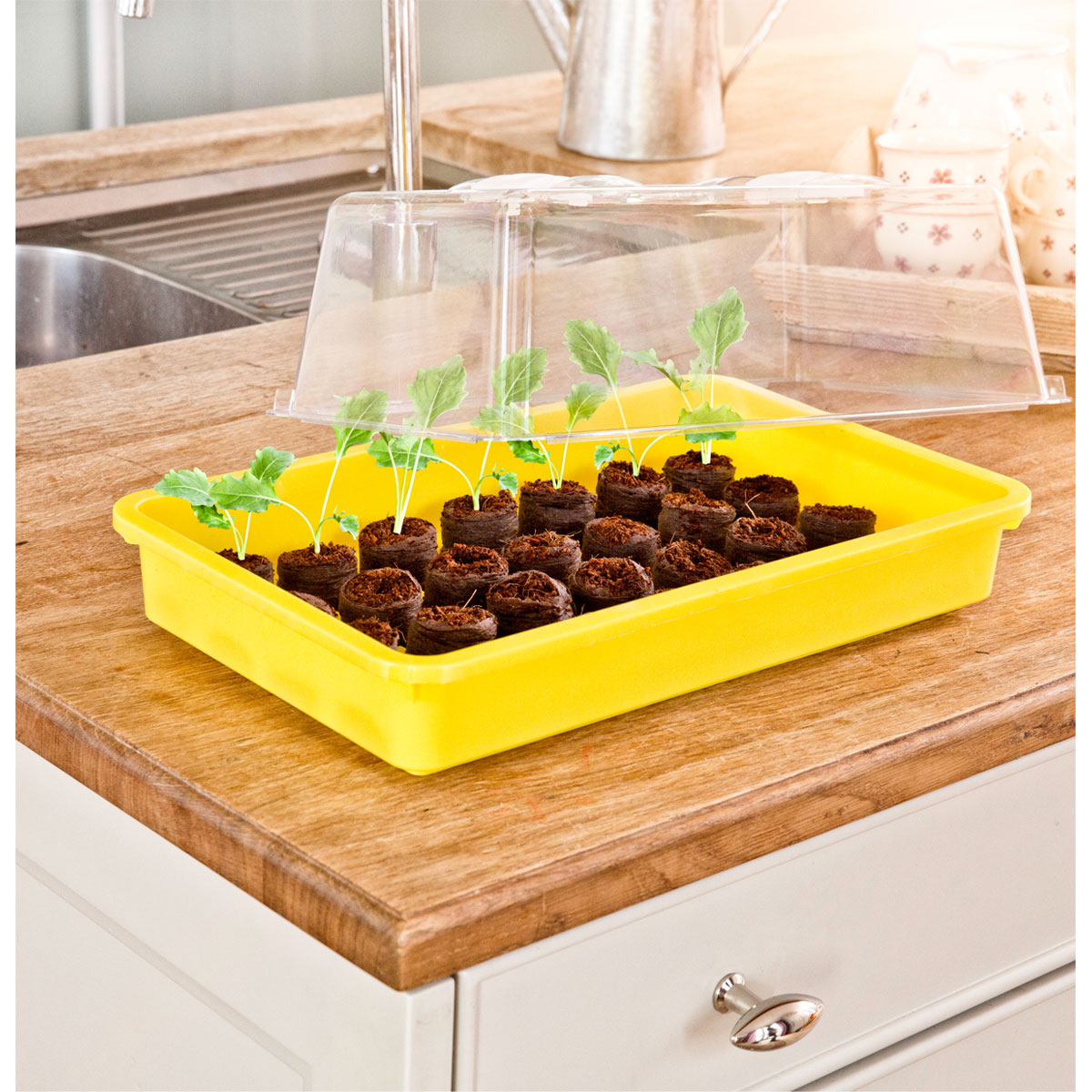 Windhager Saat-Schale 38 x 24 x 6 cm gelb Bild 3