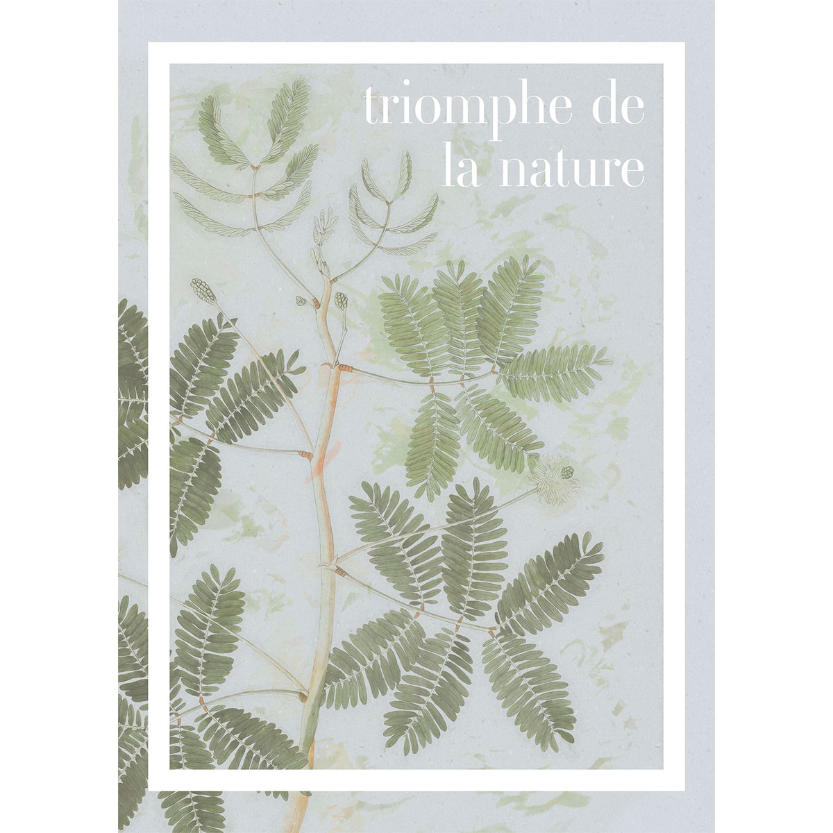 Komar  Wandbild PLANT ART Triomphe de la nature 50x70 cm Bild 2