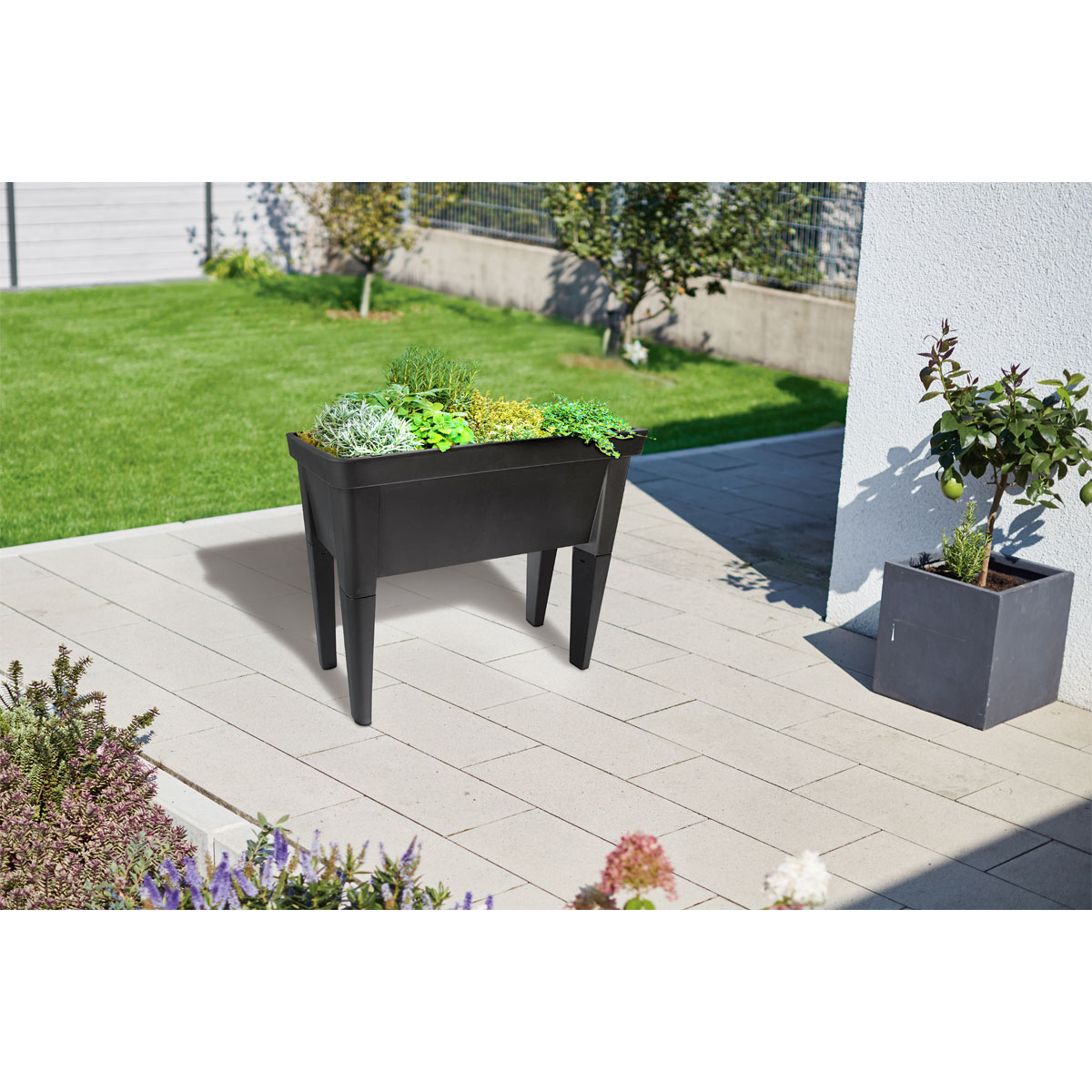 Wingart Hochbeet Kräuterpott schwarz Bild 3