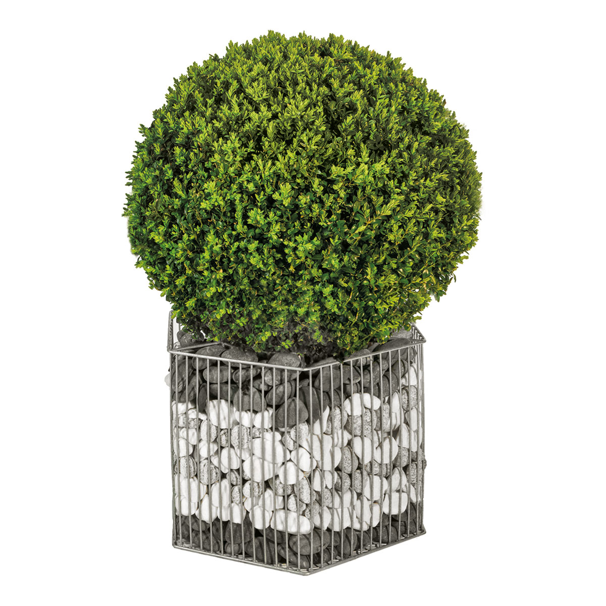 Wilk Gabionen-Pflanzgefäß Montana L Bild 4