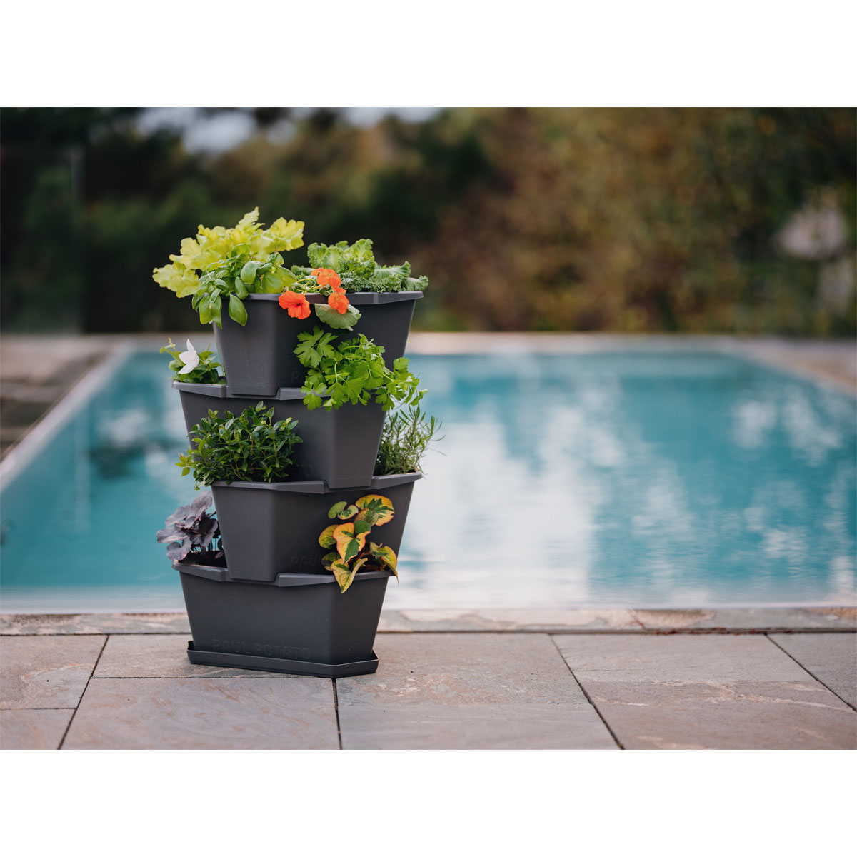 Anzuchtsgefäß Paul Potato anthrazit 4er Set Bild 1