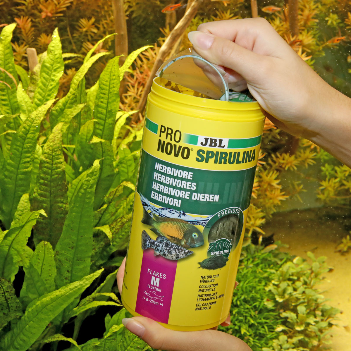 JBL  PRONOVO SPIRULINA FLAKES M 1000ml Bild 2