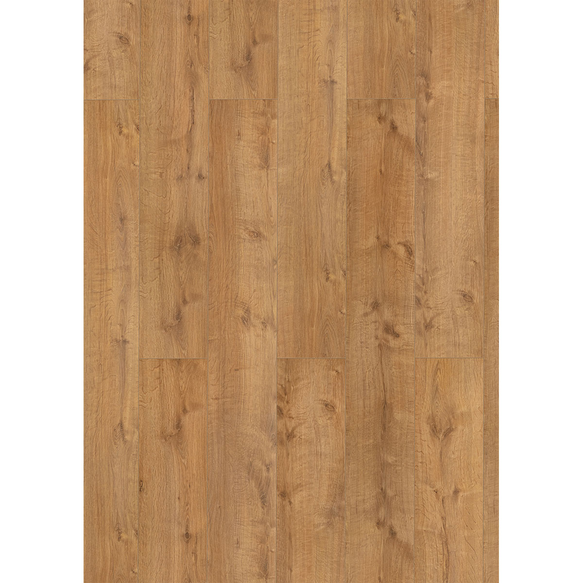 Specht Laminat Aqua XXL Eiche Lungo 179x24,1x0,8 cm