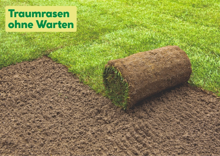 Traumrasen ohne Warten