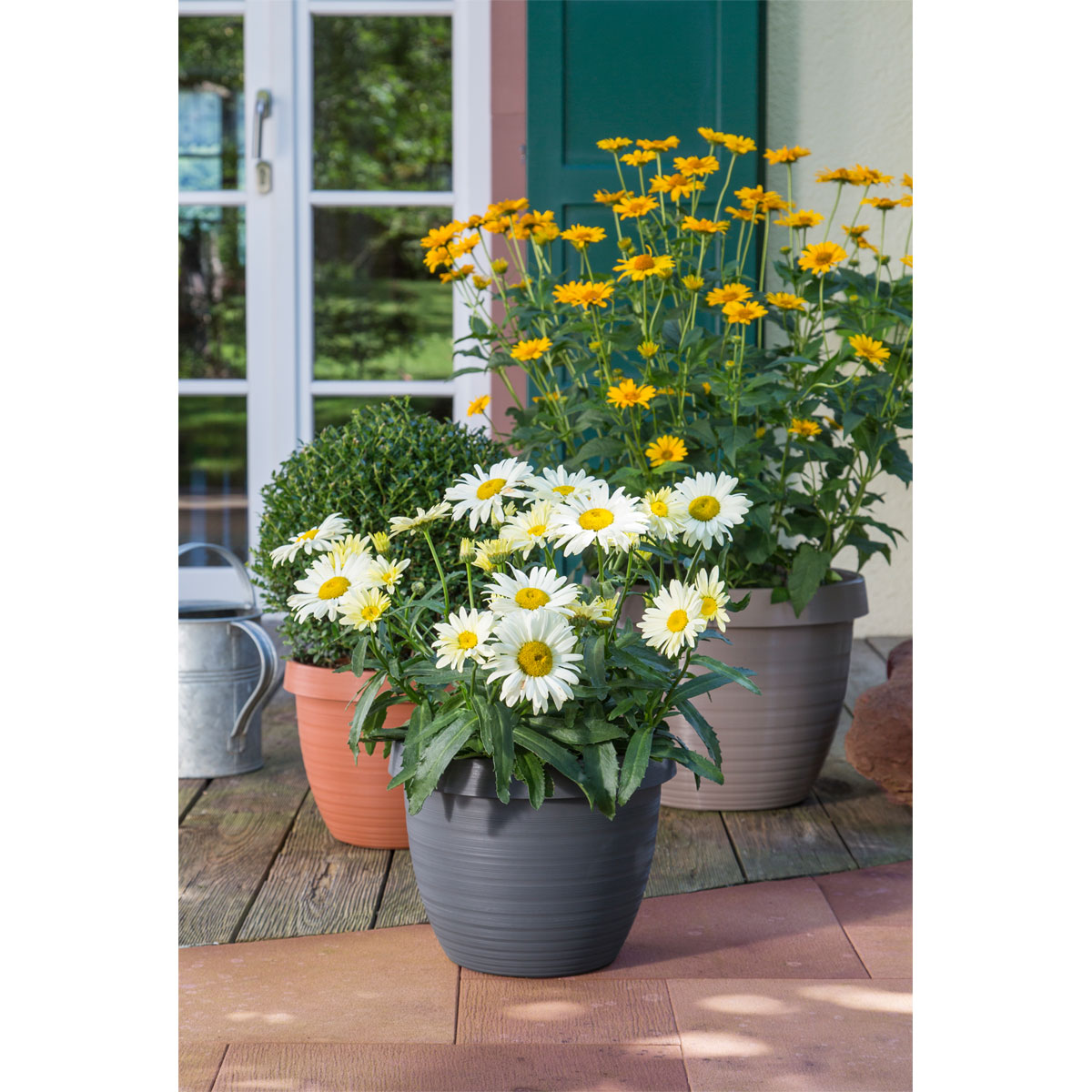 Scheurich Blumentopf Country Star 30 270 30 cm Terrakotta Bild 2