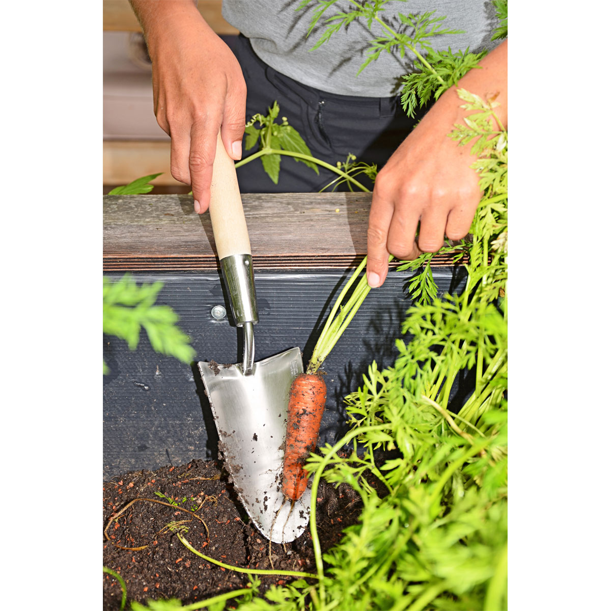 Sonneck Hochbeet-Blumenkelle Natura Pro Bild 8