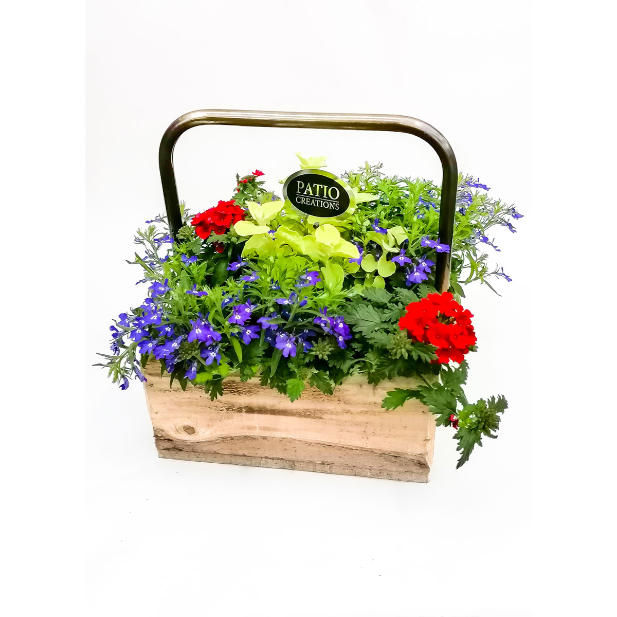 Plantiflor  Bepflanztes Gefäß Holzkasten 27 x 27 cm