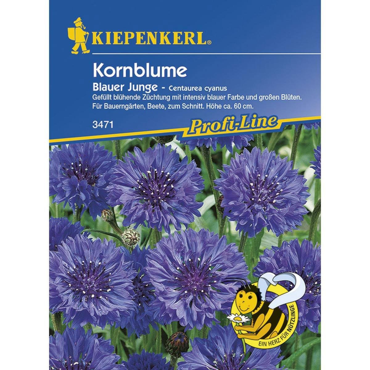 Kiepenkerl Kornblume Blauer Junge Profi-Line