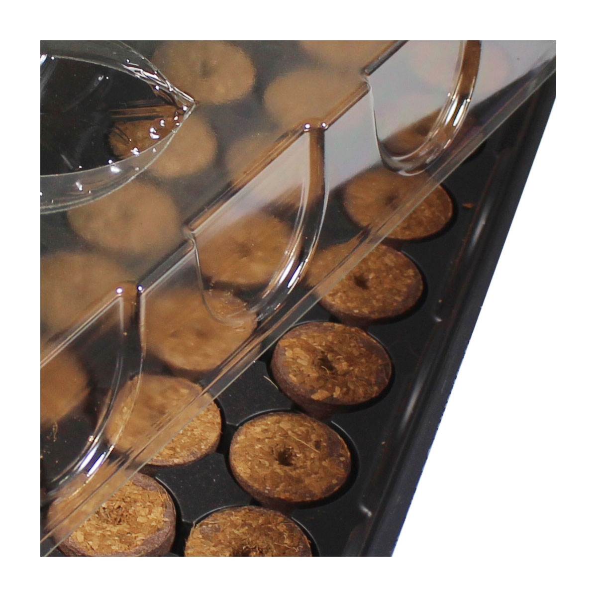 Windhager  Treibhaus-Fensterbank 30 Stück 54x16x11 cm Bild 2