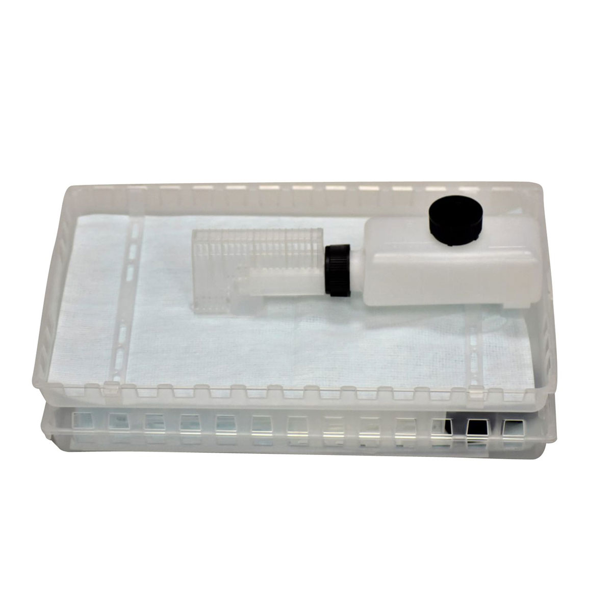 Bienenreich Verdunster Nassenheider Professional 2 Stück