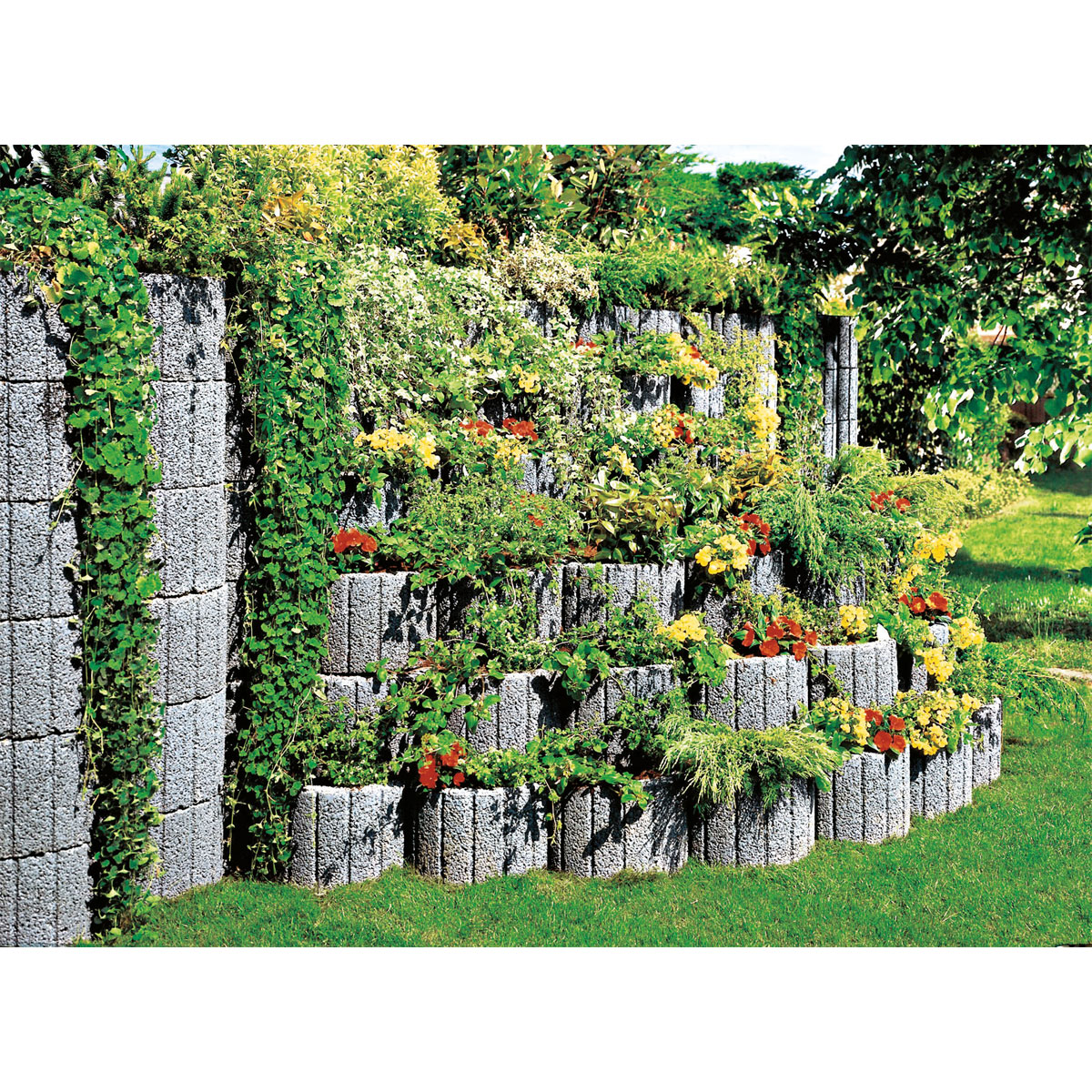 Lusit  Pflanzring groß grau 48 x 30 cm Bild 3