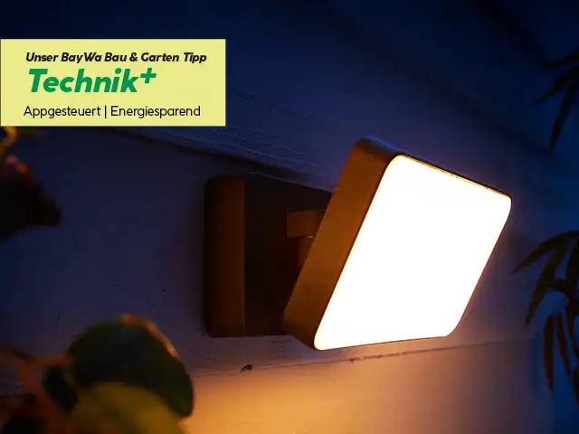 Phillips Hue Lampe_bgm