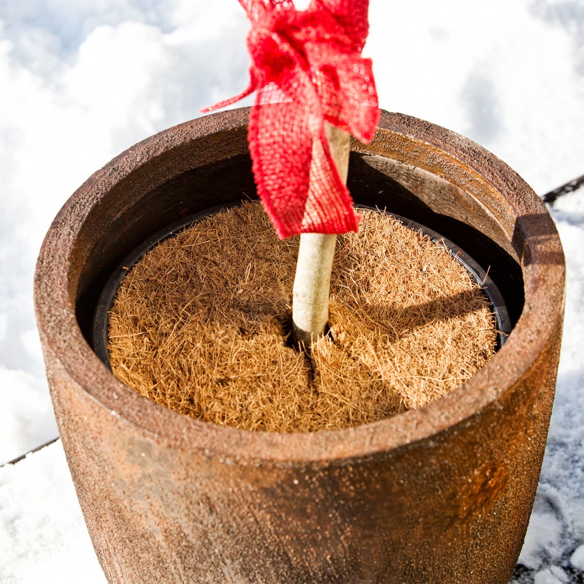 Windhager Mulchscheibe Cocodisc Durchmesser 45 cm Bild 6